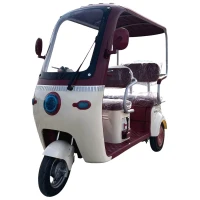 Электротрицикл Maikaolin J20