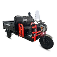 Грузовой электротрицикл WHITE SIBERIA SIBTRIKE CARGO PRO 2000